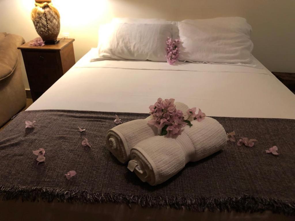 Recanto Dos Manacas 피라노폴리스 외부 사진